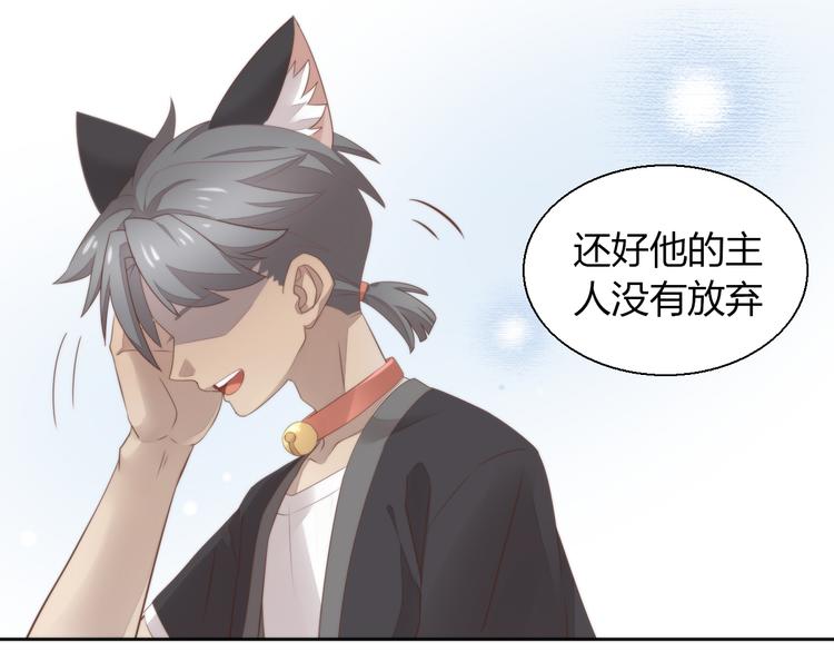 《猫爪之下》漫画最新章节第68话 突发意外免费下拉式在线观看章节第【71】张图片