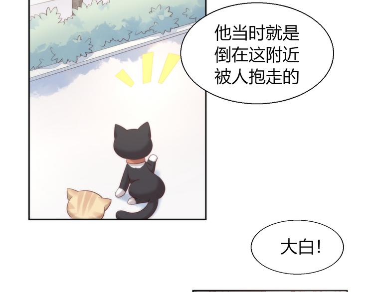 《猫爪之下》漫画最新章节第68话 突发意外免费下拉式在线观看章节第【8】张图片