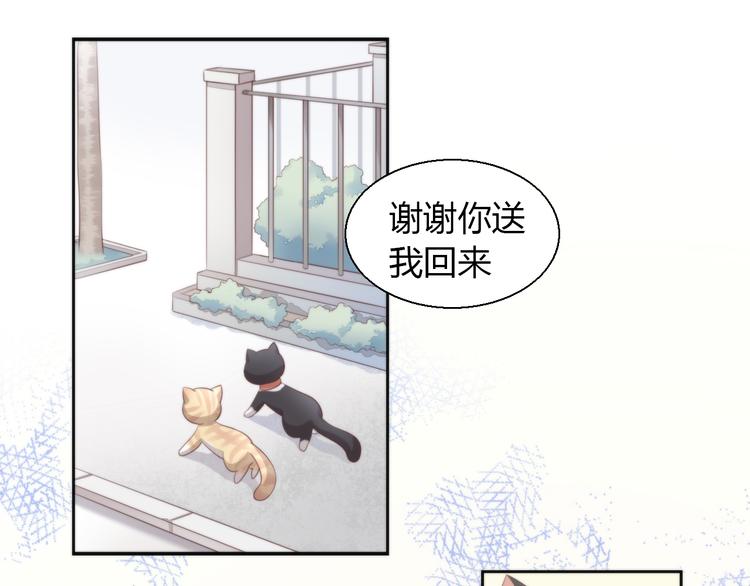 《猫爪之下》漫画最新章节第68话 突发意外免费下拉式在线观看章节第【90】张图片