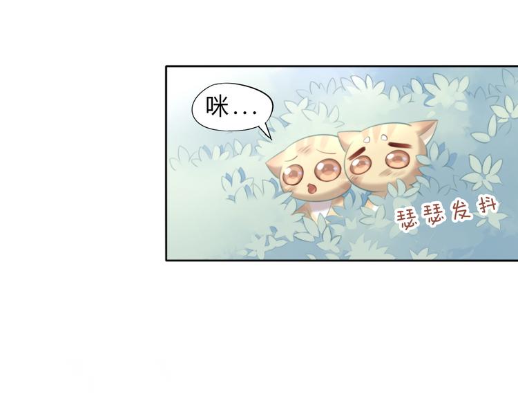 《猫爪之下》漫画最新章节第69话 决定免费下拉式在线观看章节第【11】张图片