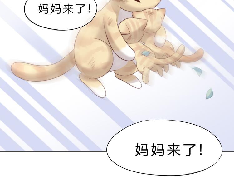 《猫爪之下》漫画最新章节第69话 决定免费下拉式在线观看章节第【14】张图片