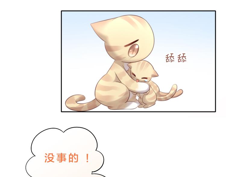 《猫爪之下》漫画最新章节第69话 决定免费下拉式在线观看章节第【16】张图片