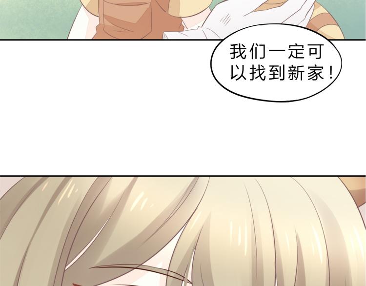 《猫爪之下》漫画最新章节第69话 决定免费下拉式在线观看章节第【20】张图片