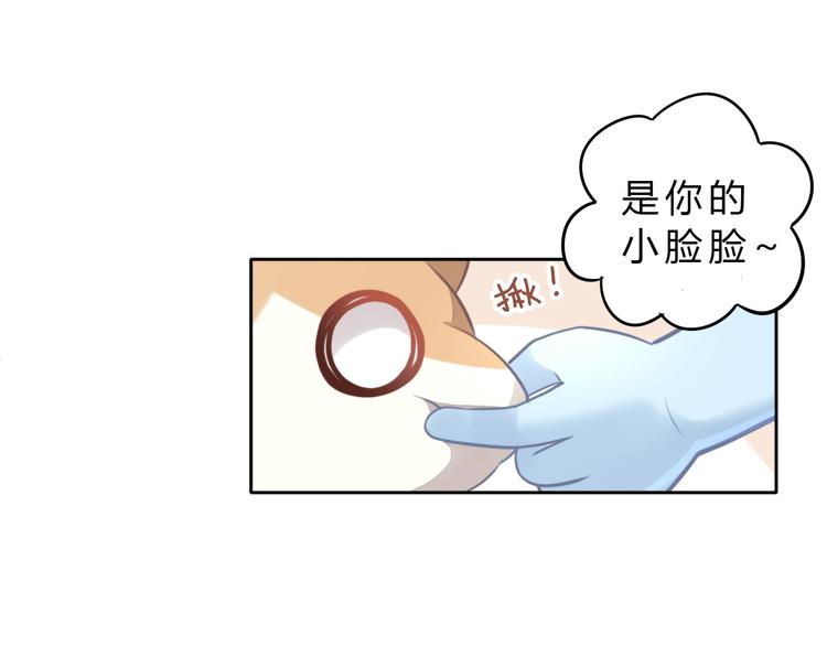 《猫爪之下》漫画最新章节第69话 决定免费下拉式在线观看章节第【29】张图片