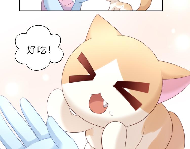 《猫爪之下》漫画最新章节第69话 决定免费下拉式在线观看章节第【36】张图片