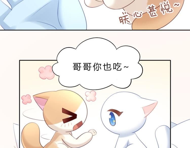 《猫爪之下》漫画最新章节第69话 决定免费下拉式在线观看章节第【37】张图片