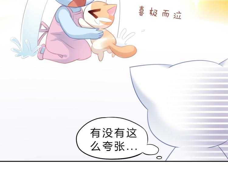 《猫爪之下》漫画最新章节第69话 决定免费下拉式在线观看章节第【41】张图片