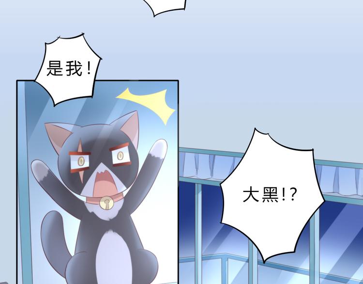 《猫爪之下》漫画最新章节第69话 决定免费下拉式在线观看章节第【52】张图片