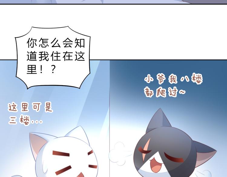 《猫爪之下》漫画最新章节第69话 决定免费下拉式在线观看章节第【54】张图片