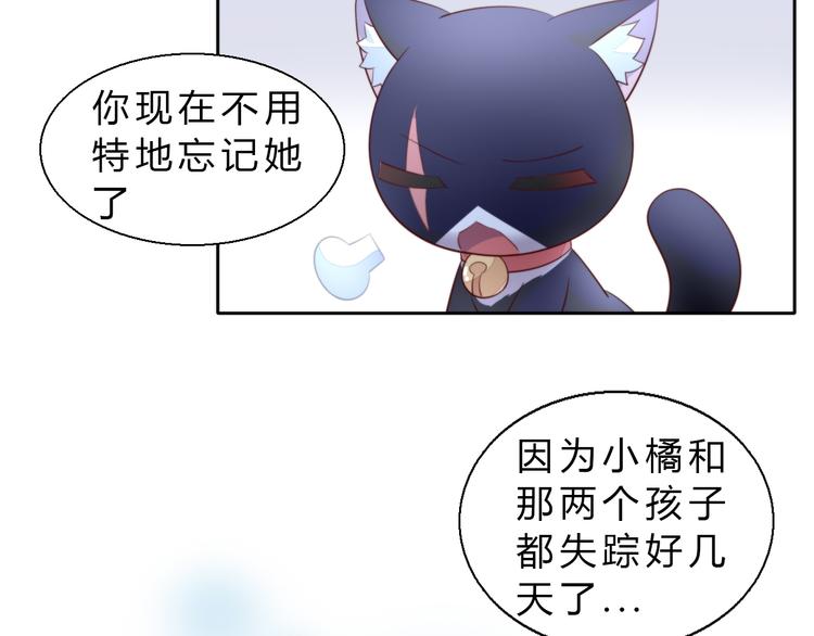 《猫爪之下》漫画最新章节第69话 决定免费下拉式在线观看章节第【60】张图片