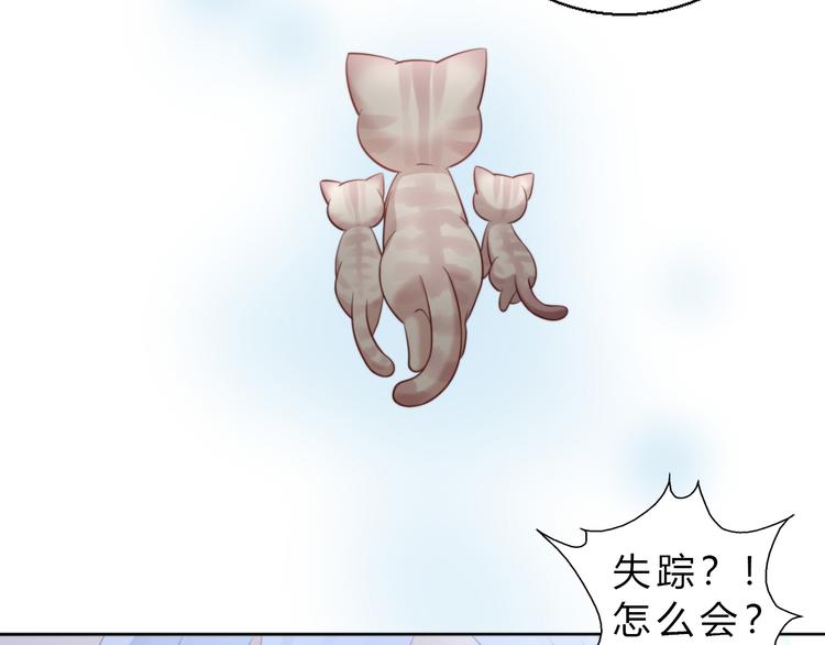 《猫爪之下》漫画最新章节第69话 决定免费下拉式在线观看章节第【61】张图片