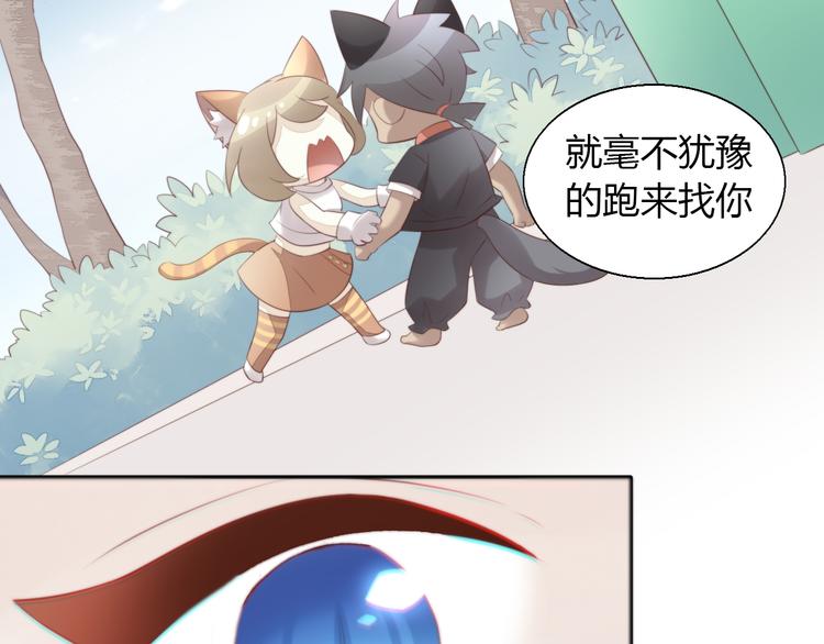 《猫爪之下》漫画最新章节第69话 决定免费下拉式在线观看章节第【72】张图片