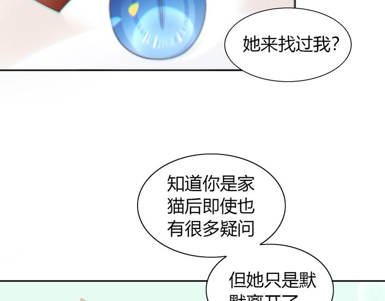 《猫爪之下》漫画最新章节第69话 决定免费下拉式在线观看章节第【73】张图片