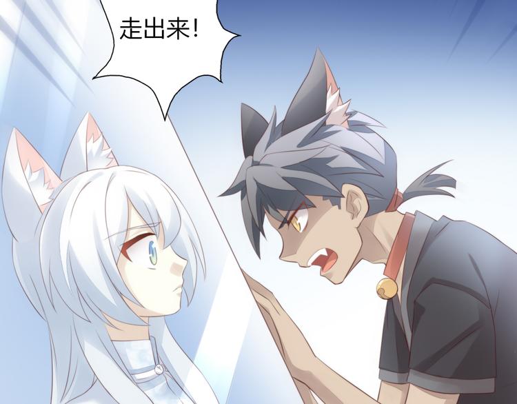 《猫爪之下》漫画最新章节第69话 决定免费下拉式在线观看章节第【80】张图片