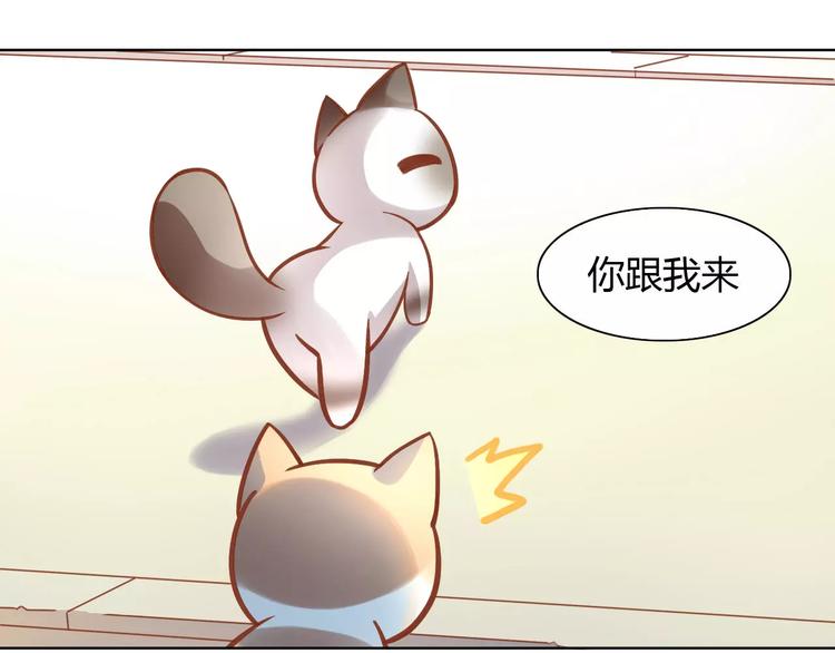 《猫爪之下》漫画最新章节第8话  还是家里好免费下拉式在线观看章节第【26】张图片