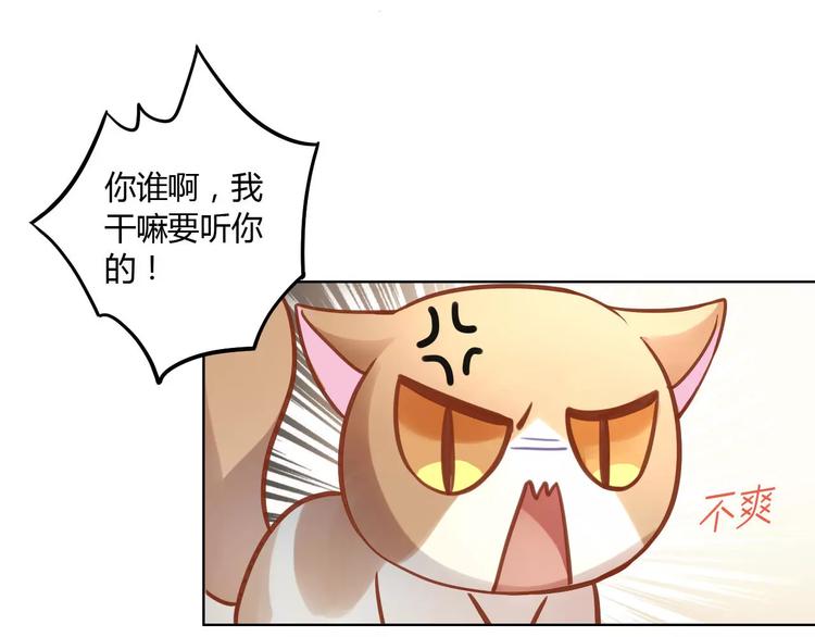 《猫爪之下》漫画最新章节第8话  还是家里好免费下拉式在线观看章节第【27】张图片