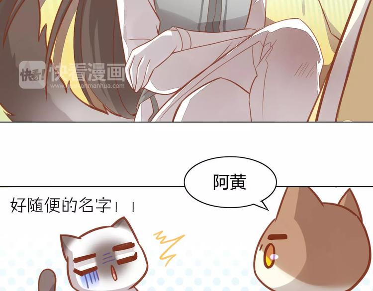 《猫爪之下》漫画最新章节第8话  还是家里好免费下拉式在线观看章节第【44】张图片