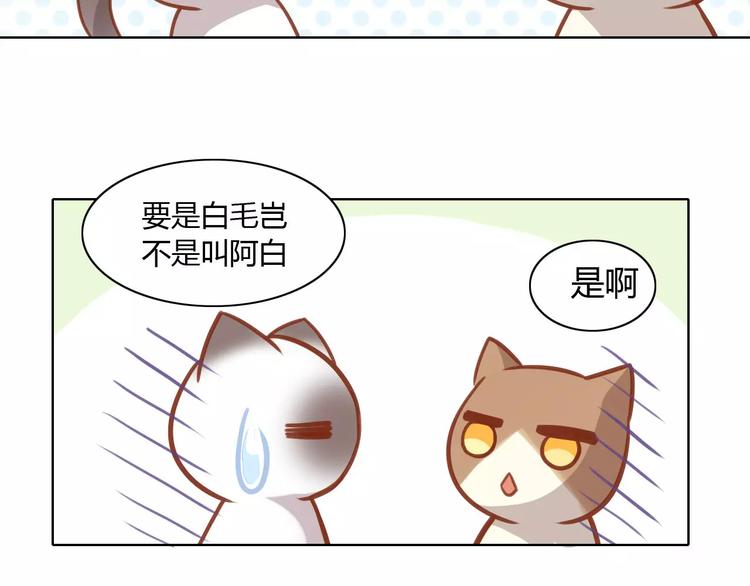 《猫爪之下》漫画最新章节第8话  还是家里好免费下拉式在线观看章节第【45】张图片