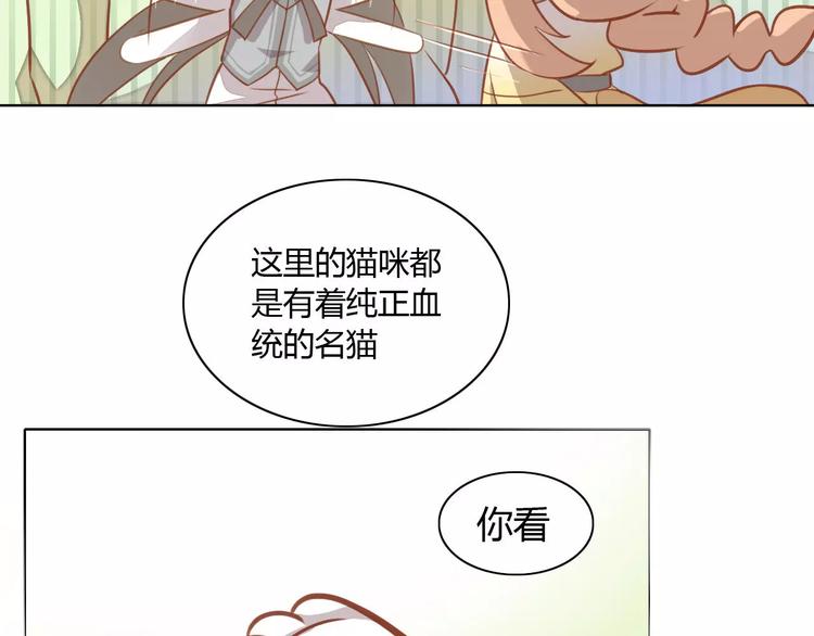 《猫爪之下》漫画最新章节第8话  还是家里好免费下拉式在线观看章节第【52】张图片