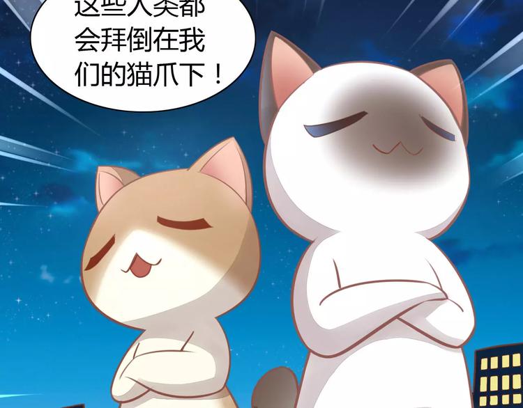 《猫爪之下》漫画最新章节第8话  还是家里好免费下拉式在线观看章节第【66】张图片