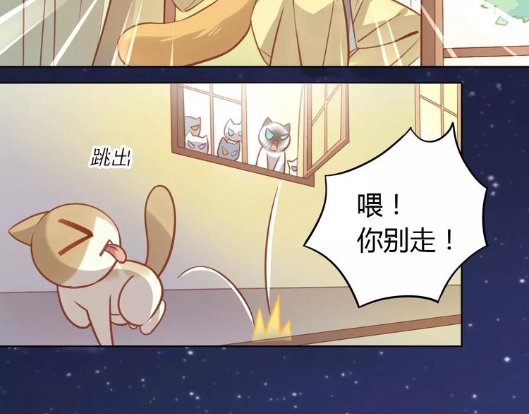 《猫爪之下》漫画最新章节第8话  还是家里好免费下拉式在线观看章节第【86】张图片