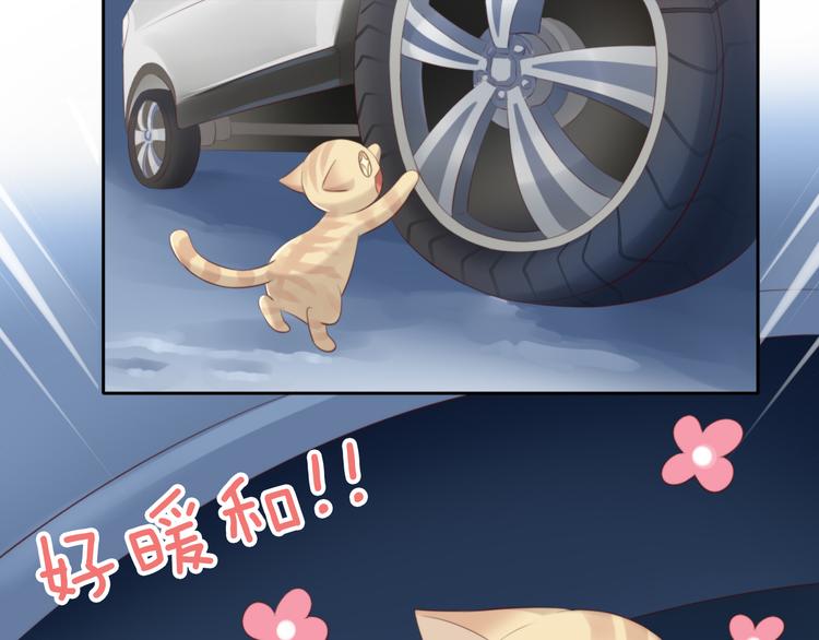 《猫爪之下》漫画最新章节第70话 再见免费下拉式在线观看章节第【39】张图片