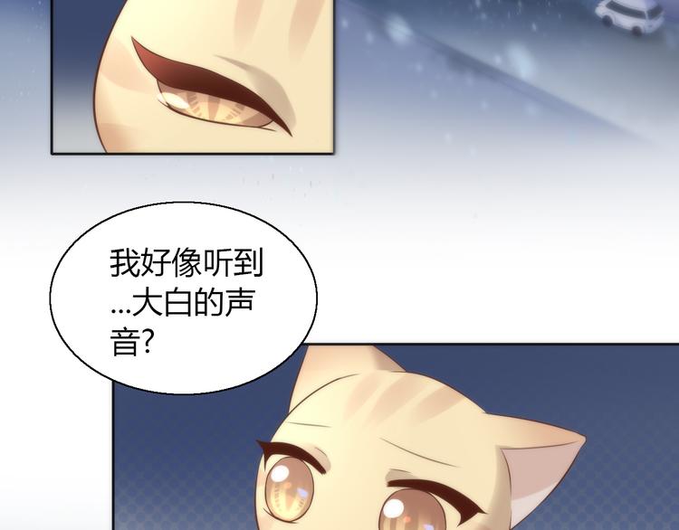 《猫爪之下》漫画最新章节第70话 再见免费下拉式在线观看章节第【48】张图片