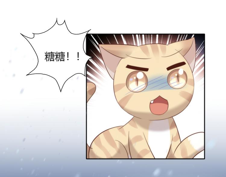 《猫爪之下》漫画最新章节第70话 再见免费下拉式在线观看章节第【57】张图片