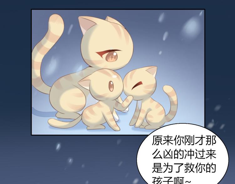 《猫爪之下》漫画最新章节第71话 属于你的幸福免费下拉式在线观看章节第【20】张图片