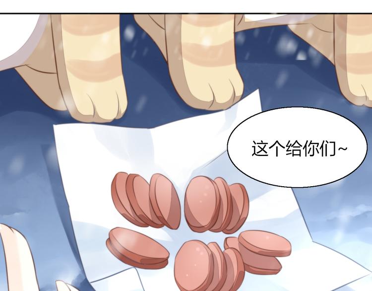 《猫爪之下》漫画最新章节第71话 属于你的幸福免费下拉式在线观看章节第【27】张图片