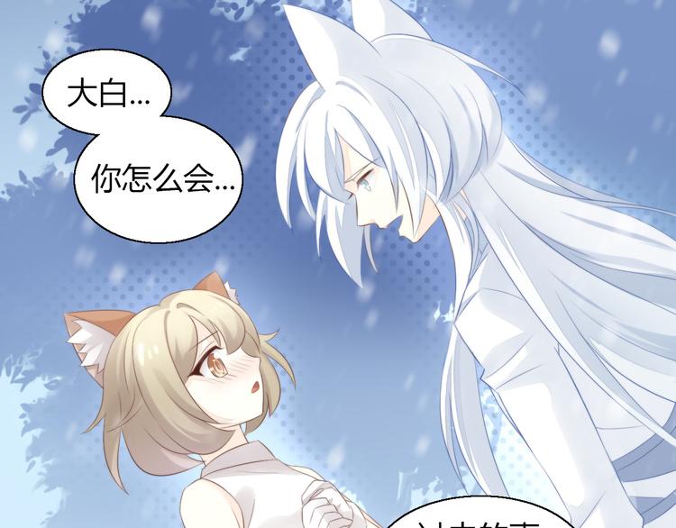 《猫爪之下》漫画最新章节第71话 属于你的幸福免费下拉式在线观看章节第【31】张图片