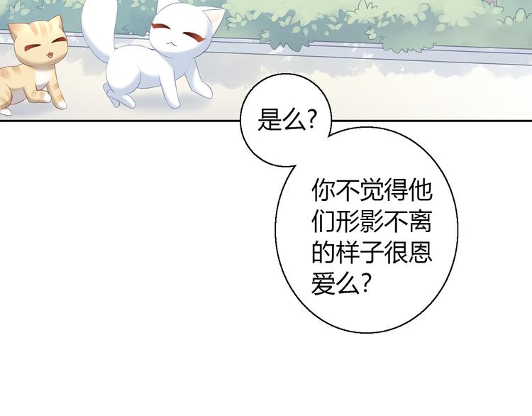 《猫爪之下》漫画最新章节第71话 属于你的幸福免费下拉式在线观看章节第【67】张图片