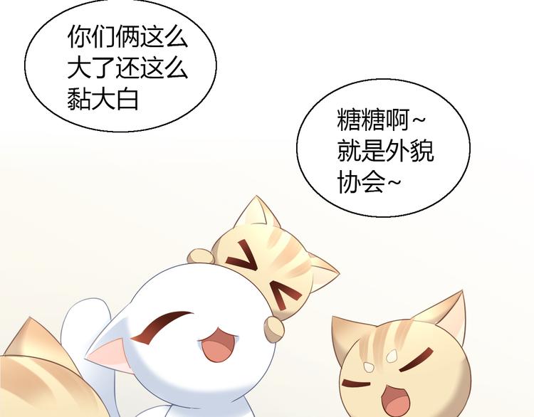 《猫爪之下》漫画最新章节第71话 属于你的幸福免费下拉式在线观看章节第【70】张图片