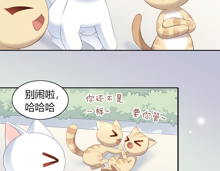 《猫爪之下》漫画最新章节第71话 属于你的幸福免费下拉式在线观看章节第【71】张图片