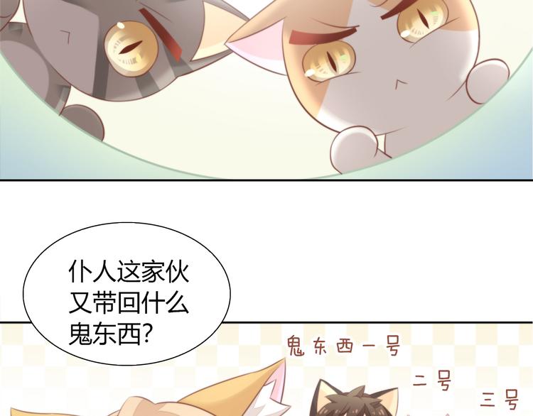 《猫爪之下》漫画最新章节第72话 螃蟹大战免费下拉式在线观看章节第【17】张图片