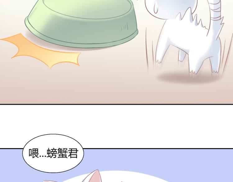 《猫爪之下》漫画最新章节第72话 螃蟹大战免费下拉式在线观看章节第【34】张图片