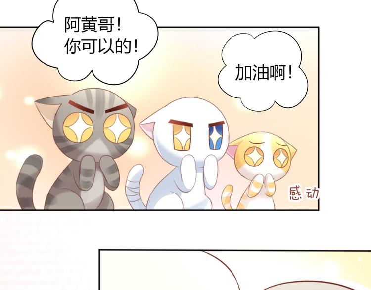 《猫爪之下》漫画最新章节第72话 螃蟹大战免费下拉式在线观看章节第【52】张图片