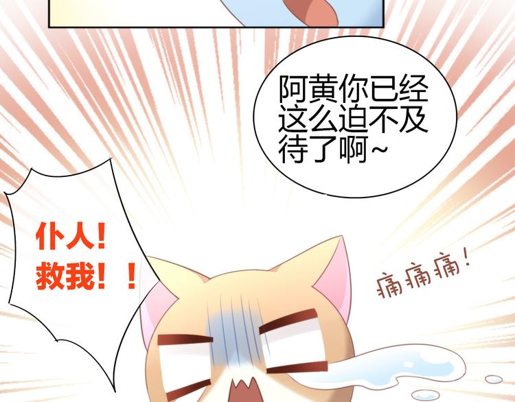 《猫爪之下》漫画最新章节第72话 螃蟹大战免费下拉式在线观看章节第【57】张图片