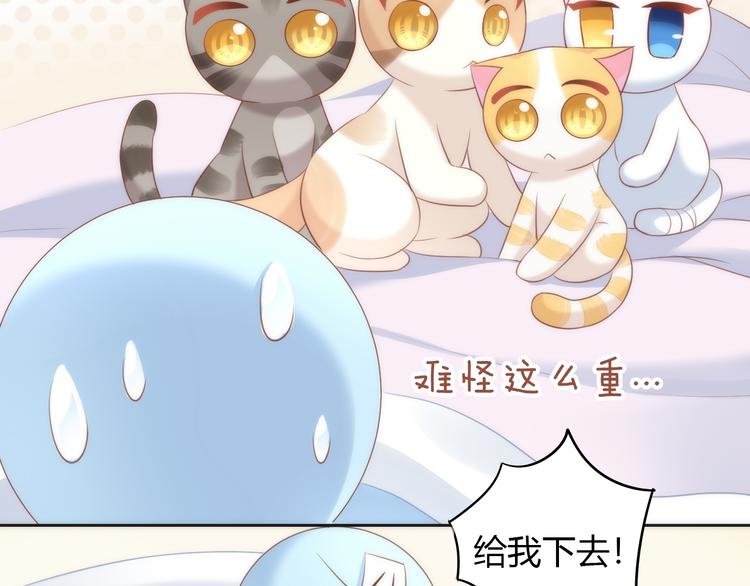 《猫爪之下》漫画最新章节第73话 爱之冬衣免费下拉式在线观看章节第【11】张图片