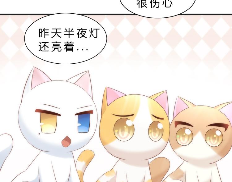 《猫爪之下》漫画最新章节第73话 爱之冬衣免费下拉式在线观看章节第【67】张图片