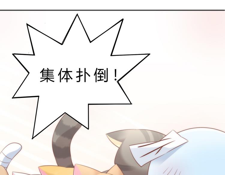 《猫爪之下》漫画最新章节第73话 爱之冬衣免费下拉式在线观看章节第【75】张图片