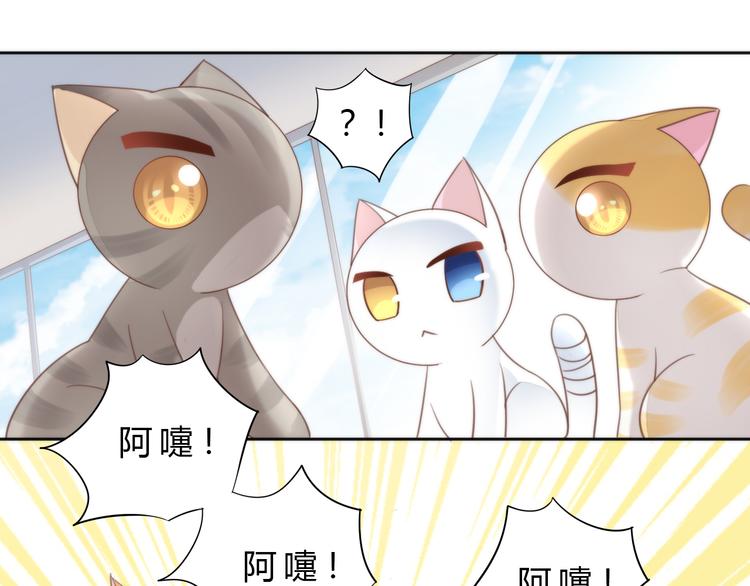 《猫爪之下》漫画最新章节第74话 宇宙中心呼唤爱免费下拉式在线观看章节第【40】张图片