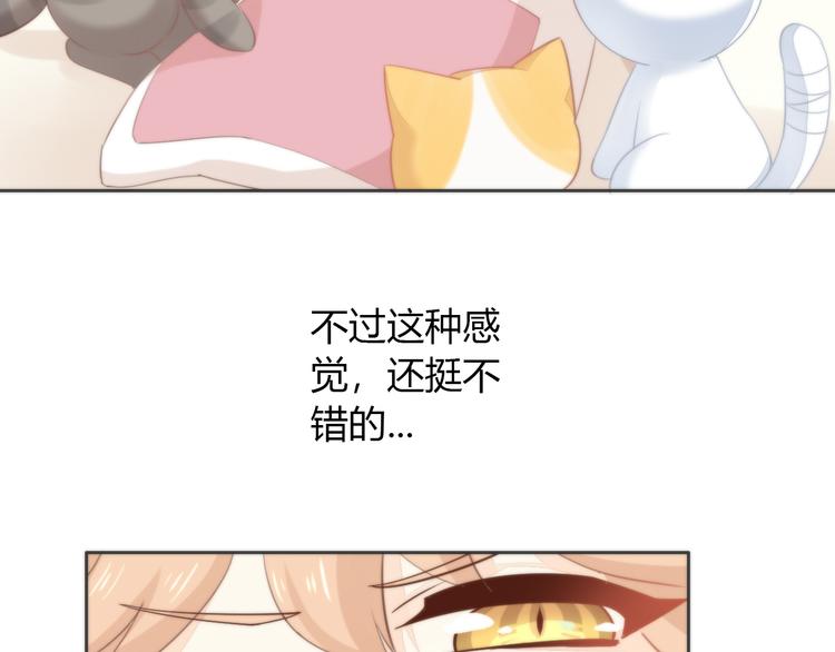 《猫爪之下》漫画最新章节第74话 宇宙中心呼唤爱免费下拉式在线观看章节第【54】张图片