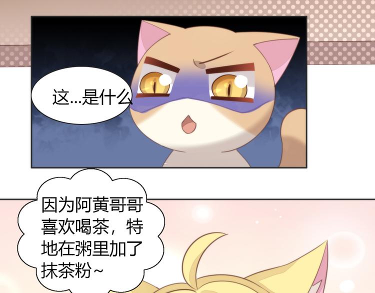 《猫爪之下》漫画最新章节第74话 宇宙中心呼唤爱免费下拉式在线观看章节第【68】张图片