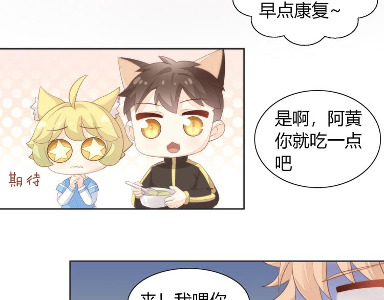 《猫爪之下》漫画最新章节第74话 宇宙中心呼唤爱免费下拉式在线观看章节第【70】张图片