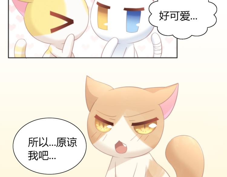 《猫爪之下》漫画最新章节第74话 宇宙中心呼唤爱免费下拉式在线观看章节第【84】张图片