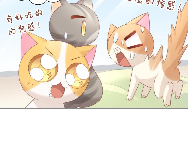 《猫爪之下》漫画最新章节第75话 枫叶的传说免费下拉式在线观看章节第【14】张图片