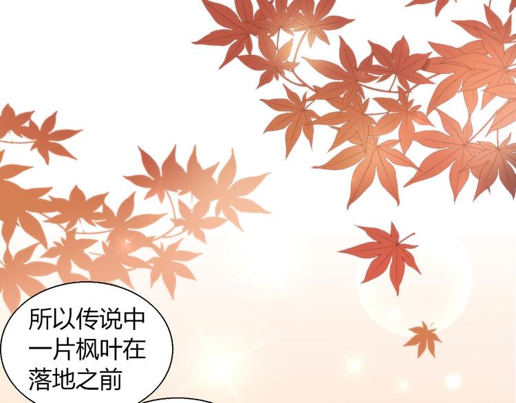 《猫爪之下》漫画最新章节第75话 枫叶的传说免费下拉式在线观看章节第【35】张图片