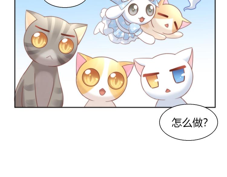 《猫爪之下》漫画最新章节第75话 枫叶的传说免费下拉式在线观看章节第【42】张图片