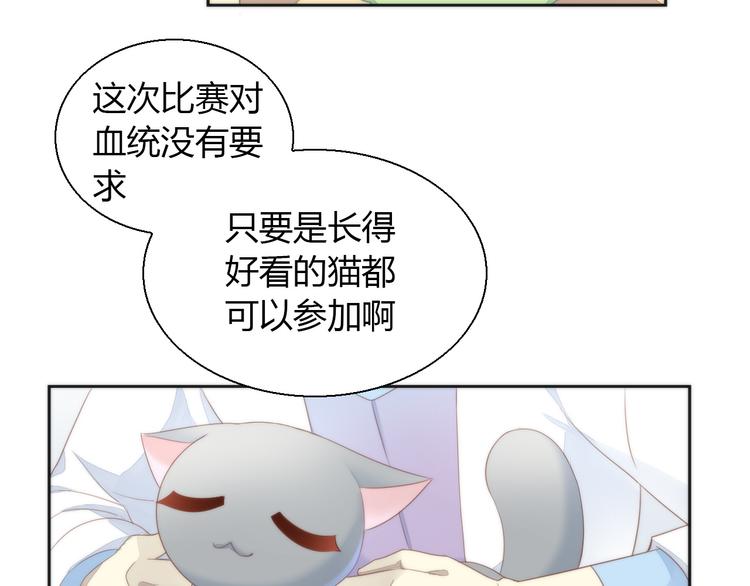 《猫爪之下》漫画最新章节第76话 猫咪选美大赛免费下拉式在线观看章节第【10】张图片